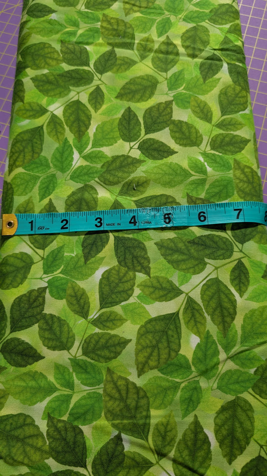 Northcott Budding Romance Green Leaves / Meter